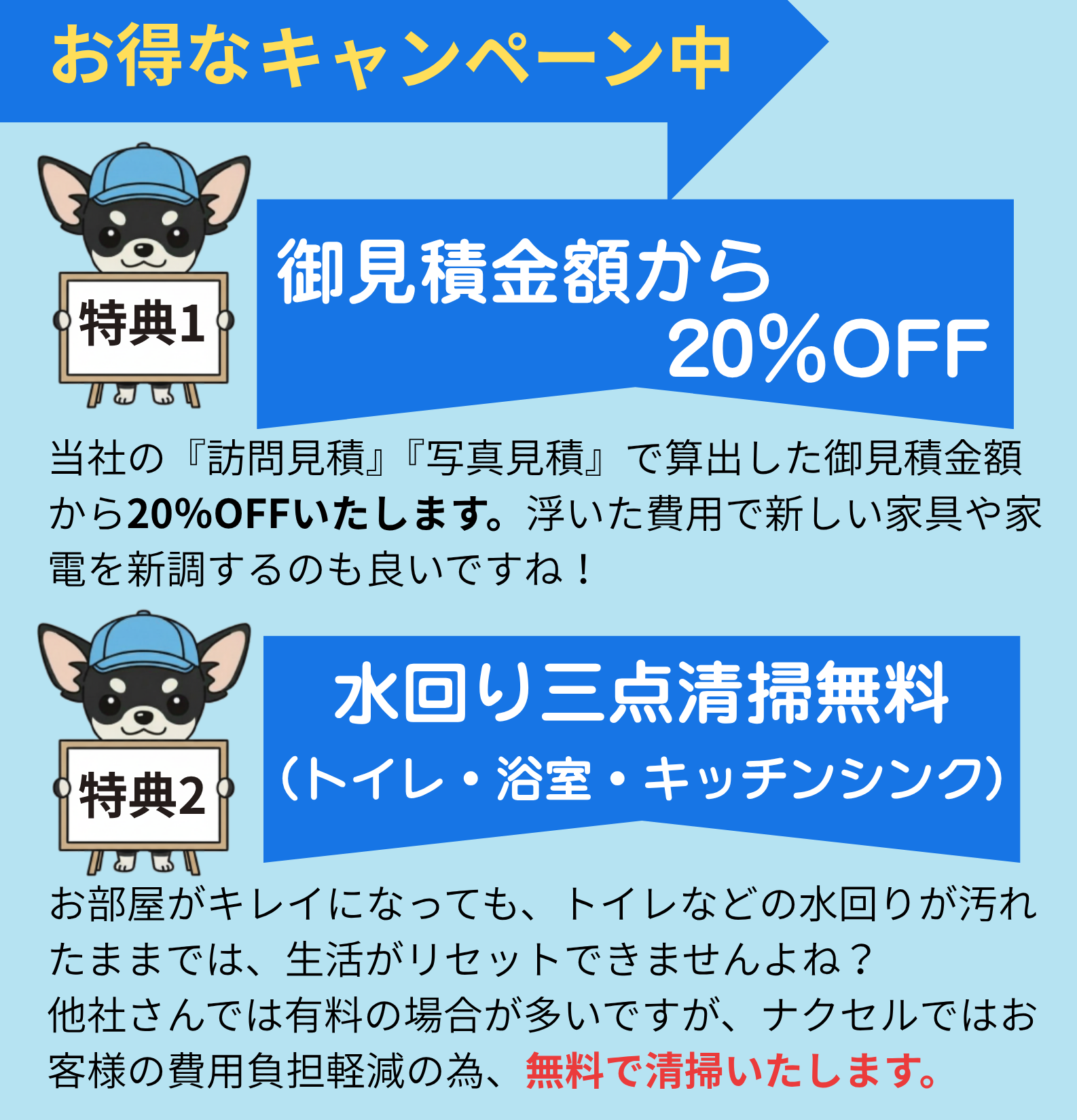 キャンペーンチラシ