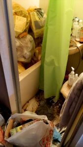 大分市40代女性のゴミ屋敷の片付け前の画像②